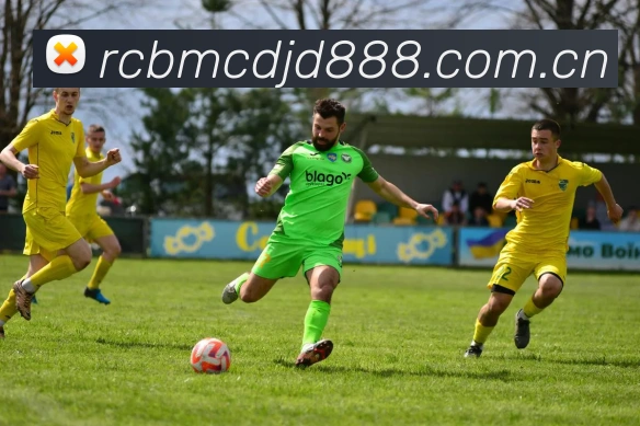 ayx爱游最新官网服务体系